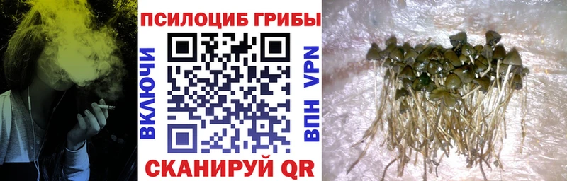 даркнет сайт  Аша  ссылка на мегу сайт  Псилоцибиновые грибы прущие грибы 