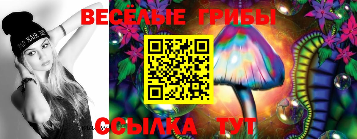 Псилоцибиновые грибы GOLDEN TEACHER  Вход с VPN  Аша  Галлюциногенные грибы Cubensis 